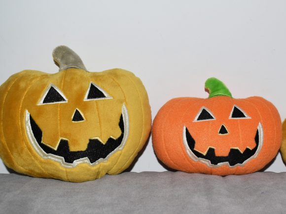 Pumpkin ITH Review for Etsy and Small Shop Use